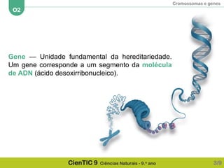 Cromossomas e genes
O2
CienTIC 9 Ciências Naturais - 9.o ano
Gene — Unidade fundamental da hereditariedade.
Um gene corresponde a um segmento da molécula
de ADN (ácido desoxirribonucleico).
3/9
 