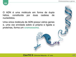 Cromossomas e genes
O2
CienTIC 9 Ciências Naturais - 9.o ano
O ADN é uma molécula em forma de dupla
hélice, constituída por duas cadeias de
nucleótidos.
Uma única molécula de ADN possui vários genes
e, uma vez enrolada sobre si própria e ligada a
proteínas, forma um cromossoma.
4/9
 
