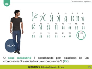 Cromossomas e genes
O2
CienTIC 9 Ciências Naturais - 9.o ano
46, XY
O sexo masculino é determinado pela existência de um
cromossoma X associado a um cromossoma Y (XY).
7/9
1 2 3 4 5 6 7 8
9 10 11 12 13 14 15 16
17 18 19 20 21 22 23
 