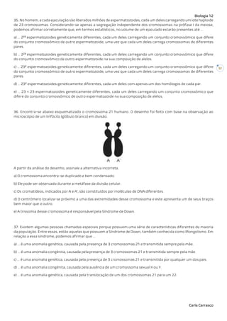 Biologia 12
Carla Carrasco
12
35. No homem, a cada ejaculação são liberados milhões de espermatozoides, cada um deles carregando um lote haploide
de 23 cromossomas. Considerando-se apenas a segregação independente dos cromossomas na prófase I da meiose,
podemos afirmar corretamente que, em termos estatísticos, no volume de um ejaculado estarão presentes até …
a) … 223
espermatozoides geneticamente diferentes, cada um deles carregando um conjunto cromossómico que difere
do conjunto cromossómico de outro espermatozoide, uma vez que cada um deles carrega cromossomas de diferentes
pares.
b) … 223
espermatozoides geneticamente diferentes, cada um deles carregando um conjunto cromossómico que difere
do conjunto cromossómico de outro espermatozoide na sua composição de alelos.
c) … 232
espermatozoides geneticamente diferentes, cada um deles carregando um conjunto cromossómico que difere
do conjunto cromossómico de outro espermatozoide, uma vez que cada um deles carrega cromossomas de diferentes
pares.
d) … 232
espermatozoides geneticamente diferentes, cada um deles com apenas um dos homólogos de cada par.
e) … 23 × 23 espermatozoides geneticamente diferentes, cada um deles carregando um conjunto cromossómico que
difere do conjunto cromossómico de outro espermatozoide na sua composição de alelos.
36. Encontra-se abaixo esquematizado o cromossoma 21 humano. O desenho foi feito com base na observação ao
microscópio de um linfócito (glóbulo branco) em divisão.
A partir da análise do desenho, assinale a alternativa incorreta.
a) O cromossoma encontra-se duplicado e bem condensado.
b) Ele pode ser observado durante a metáfase da divisão celular.
c) Os cromatídeos, indicados por A e A’, são constituídos por moléculas de DNA diferentes.
d) O centrómero localiza-se próximo a uma das extremidades desse cromossoma e este apresenta um de seus braços
bem maior que o outro.
e) A trissomia desse cromossoma é responsável pela Síndrome de Down.
37. Existem algumas pessoas chamadas especiais porque possuem uma série de características diferentes da maioria
da população. Entre essas, estão aquelas que possuem a Síndrome de Down, também conhecida como Mongolismo. Em
relação a essa síndrome, podemos afirmar que …
a) … é uma anomalia genética, causada pela presença de 3 cromossomas 21 e transmitida sempre pela mãe.
b) … é uma anomalia congénita, causada pela presença de 3 cromossomas 21 e transmitida sempre pela mãe.
c) … é uma anomalia genética, causada pela presença de 3 cromossomas 21 e transmitida por qualquer um dos pais.
d) … é uma anomalia congénita, causada pela ausência de um cromossoma sexual X ou Y.
e) … é uma anomalia genética, causada pela translocação de um dos cromossomas 21 para um 22.
 