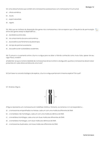 Biologia 12
Carla Carrasco
17
54. Uma célula humana que contém 22 cromossomos autossomas e um cromossoma Y é um (uma):
a) … célula somática;
b) … óvulo;
c) … espermatozóide;
d) … zigoto.
55. Pelo que se conhece da disposição dos genes nos cromossomas, é de se esperar que a frequência de permutação
entre dois genes esteja na dependência …
a) … da distância entre eles.
b) … do comprimento da zona centromérica.
c) … da existência do fenómeno da pleiotropia.
d) … do tipo de polimeria existente.
e) … da ausência de nucleotídeos covalentes.
56. É comum o cruzamento entre o burro e a égua para se obter o híbrido conhecido como mula. Este, apesar de seu
vigor físico, é estéril.
a) Sabendo-se que o número diplóide de cromossomas do burro é 62 e o da égua 64, quantos cromossomas devem estar
presentes em cada célula somática de uma mula?
b) Com base no conceito biológico de espécie, o burro e a égua pertencem à mesma espécie? Por quê?
57. Analise a figura.
A figura representa um cromossoma em metáfase mitótica. Portanto, os números I e II correspondem a …
a) … cromossomas emparelhados na meiose, cada um com uma molécula diferente de DNA.
b) … cromatídeos não homólogos, cada um com uma molécula idêntica de DNA.
c) … cromatídeos homólogos, cada uma com duas moléculas diferentes de DNA.
d) … cromatídeos homólogos, com duas moléculas idênticas de DNA.
e) … cromossomas duplicados, com duas moléculas diferentes de DNA.
 