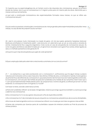 Biologia 12
Carla Carrasco
6
19. Suponha que na espermatogênese de um homem ocorra não-disjunção dos cromossomas sexuais na primeira
divisão da meiose, isto é, que os cromossomas X e Y migrem juntos para um mesmo pólo da célula. Admitindo que a
meiose continue normalmente,
a) qual será a constituição cromossómica dos espermatozóides formados nessa meiose, no que se refere aos
cromossomas sexuais?
b) quais serão as possíveis constituições cromossómicas de crianças geradas pelos espermatozóides produzidos nessa
meiose, no caso de eles fecundarem óvulos normais?
20. José é uma pessoa muito interessada na criação de gatos. Um de seus gatos apresenta hipoplasia testicular
(testículos atrofiados) e é totalmente estéril. José procurou um veterinário que, ao ver as cores preta e amarela do
animal, imediatamente fez o seguinte diagnóstico: trata-se de um caso de aneuploidia de cromossomos sexuais. As
cores nos gatos domésticos são determinadas por um gene A (cor amarela) e outro gene P (cor preta), ambos ligados ao
sexo, e o malhado apresenta os dois genes (A e P).
a) O que é e qual o tipo de aneuploidia que o gato de José apresenta?
b) Qual a explicação dada pelo veterinário relacionando a anomalia com as cores do animal?
21. “... se analisarmos o que está acontecendo com o cromossoma Y, verificaremos que há algum tempo a própria
natureza vem tramando contra o sexo masculino. Nos últimos milhões de anos, o cromossoma Y perdeu muitos genes e
atualmente ficou tão diferente do cromossomo X, que praticamente não há mais trocas de material genético entre eles.
O cromossoma X, com cerca de 165 milhões de pares de nucleótidos (uma medida de seu tamanho), é bem maior que o
Y, com aproximadamente 60 milhões desses pares. Se compararmos o número de genes, as diferenças tornam-se mais
evidentes. O cromossoma X tem 3 mil genes e o Y só 26!”
Com base no texto, assinale a alternativa correta.
a) Pares de nucleótidos referem-se às bases nitrogenadas: citosina que se liga a guanina e também a uracilo que se liga
a adenina nos cromossomas.
b) Os cromossomas X e Y e os seus genes não possuem a fita de dupla hélice de DNA.
c) Os cromossomas X e Y são chamados de sexuais enquanto os cromossomas autossómicos são os outros 46 diplóides.
d) As trocas de material genético entre os cromossomas referem-se a mudanças ocorridas nos genes e não ao DNA.
e) Genes são compostos por diversos pares de nucleotídeos capazes de sintetizar proteína ao final do processo da
síntese proteica.
 