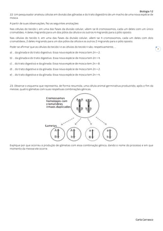 Biologia 12
Carla Carrasco
7
22. Um pesquisador analisou células em divisão das gônadas e do trato digestório de um macho de uma nova espécie de
mosca.
A partir de suas observações, fez as seguintes anotações:
Nas células do tecido I, em uma das fases da divisão celular, vêem-se 8 cromossomos, cada um deles com um único
cromatídeo, 4 deles migrando para um dos pólos da célula e os outros 4 migrando para o pólo oposto.
Nas células do tecido II, em uma das fases da divisão celular, vêem-se 4 cromossomos, cada um deles com dois
cromatídeos, 2 deles migrando para um dos pólos da célula e os outros 2 migrando para o pólo oposto.
Pode-se afirmar que as células do tecido I e as células do tecido II são, respetivamente, …
a) … da gónada e do trato digestivo. Essa nova espécie de mosca tem 2n = 2.
b) … da gónada e do trato digestivo. Essa nova espécie de mosca tem 2n = 4.
c) … do trato digestivo e da gónada. Essa nova espécie de mosca tem 2n = 8.
d) … do trato digestivo e da gónada. Essa nova espécie de mosca tem 2n = 2.
e) … do trato digestivo e da gónada. Essa nova espécie de mosca tem 2n = 4.
23. Observe o esquema que representa, de forma resumida, uma célula animal germinativa produzindo, após o fim da
meiose, quatro gâmetas com suas respetivas combinações génicas.
Explique por que ocorreu a produção de gâmetas com essa combinação génica, dando o nome do processo e em que
momento da meiose ele ocorre.
 