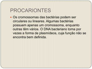 PROCARIONTESOs cromossomas das bactérias podem ser circulares ou lineares. Algumas bactérias possuem apenas um cromossoma, enquanto outras têm vários. O DNA bacteriano toma por vezes a forma de plasmídeos, cuja função não se encontra bem definida.