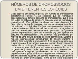 NÚMEROS DE CROMOSSOMOS EM DIFERENTES ESPÉCIESCada espécie em particular possui um número de cromossomas característico (Tabela 1). As espécies que se reproduzem assexuadamente têm um conjunto de cromossomas, que é igual em todas as células do corpo. As espécies que se reproduzem sexuadamente têm células somáticas, que são diploides [2n] (têm dois conjuntos de cromossomas, um proveniente da mãe e outro do pai) ou poliploides [Xn] (têm mais do que dois conjuntos de cromossomas). Além das células somáticas, os organismos que se reproduzem sexuadamente possuem os gametas (células reprodutoras), que são haploides [n] (têm apenas um conjunto de cromossomas). Os gametas são produzidos por meiose de uma célula diploide da linha germinativa. Durante a meiose, cromossomas semelhantes de origem materna e paterna (por exemplo o cromossoma 1 de origem materna com o cromossoma 1 de origem paterna) podem trocar pequenas partes de si próprios (crossing-over), e assim criar novos cromossomas que não foram herdados unicamente de um dos progenitores (podendo criar, por exemplo, um cromossoma 1 que apresenta regiões provenientes do cromossoma 1 de origem materna junto com outras regiões do cromossoma 1 de origem paterna). Quando um gameta masculino e um gameta feminino se unem (fertilização), forma-se um novo organismo diploide.