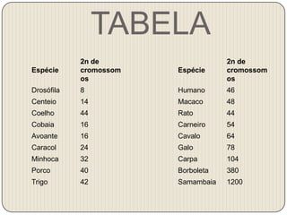 TABELA