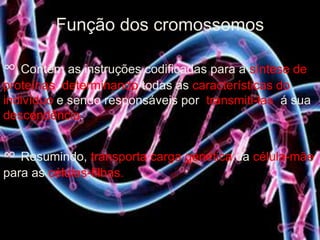 Função dos cromossomos
∞ Contêm as instruções codificadas para a síntese de
proteínas, determinando todas as características do
indivíduo e sendo responsáveis por transmiti-las á sua
descendência.
∞ Resumindo, transporta carga genética da célula-mãe
para as células-filhas.
 
