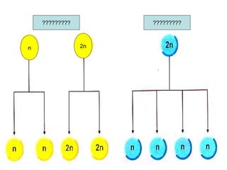 n 2n
????????? ?????????
 