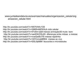www.juntadeandalucia.es/averroes/manuales/organizacion_celular/org
anizacion_celular.html
http://br.youtube.com/watch?v=NX7tVhKv1O0
http://br.youtube.com/watch?v=Q96RmMZWXcA ciclo celular
http://br.youtube.com/watch?v=47vf2m-Iyb8 meiose animação3D muito bom
http://br.youtube.com/watch?v=ae4OA31EcZ4 diferenças entre mitose e meiose
http://br.youtube.com/watch?v=nvwQadEoTl0 meiose rapidinha
http://br.youtube.com/watch?v=H2YmmxbBRD4 meiose ao vivo
http://br.youtube.com/watch?v=f2SL0ij6iBM leucocitos e microtúbulos
 