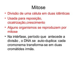 Mitose
• Divisão de uma célula em duas idênticas
• Usada para reposição,
cicatrização,crescimento
• Alguns organismos se reproduzem por
mitose
• Na intérfase, período que antecede a
divisão , o DNA se auto-duplica: cada
cromonema transforma-se em duas
cromátides irmãs.
 