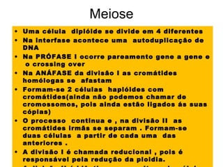 Meiose
• Uma célula diplóide se divide em 4 diferentes
• Na interfase acontece uma autoduplicação de
DNA
• Na PRÓFASE I ocorre pareamento gene a gene e
o crossing over
• Na ANÁFASE da divisão I as cromátides
homólogas se afastam
• Formam-se 2 células haplóides com
cromátides(ainda não podemos chamar de
cromossomos, pois ainda estão ligados ás suas
cópias)
• O processo continua e , na divisão II as
cromátides irmãs se separam . Formam-se
duas células a partir de cada uma das
anteriores .
• A divisão I é chamada reducional , pois é
responsável pela redução da ploidia.
 