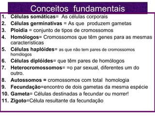 Conceitos fundamentais
1. Células somáticas= As células corporais
2. Células germinativas = As que produzem gametas
3. Ploidia = conjunto de tipos de cromossomos
4. Homólogos= Cromossomos que têm genes para as mesmas
características
5. Células haplóides= as que não tem pares de cromossomos
homólogos
6. Células diplóides= que têm pares de homólogos
7. Heterocromossomos= =o par sexual, diferentes um do
outro.
8. Autossomos = cromossomos com total homologia
9. Fecundação=encontro de dois gametas da mesma espécie
10. Gameta= Células destinadas a fecundar ou morrer!
11. Zigoto=Célula resultante da fecundação
 