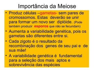 Importância da Meiose
• Produz células –gametas- sem pares de
cromossomos. Estas deverão se unir
para formar um novo ser diplóide. (Pode
também produzir esporos que não se fecundam)
• Aumenta a variabilidade genética, pois os
gametas são diferentes entre si.
• Cada zigoto é o resultado da
recombinação dos genes de seu pai e de
sua mãe!
• A variabilidade genética é fundamental
para a seleção dos mais aptos e
sobrevivência das espécies
 