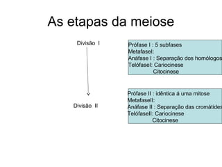 As etapas da meiose
Divisão I
Divisão II
Prófase I : 5 subfases
MetafaseI:
Anáfase I : Separação dos homólogos
TelófaseI: Cariocinese
Citocinese
Prófase II : idêntica á uma mitose
MetafaseII:
Anáfase II : Separação das cromátides
TelófaseII: Cariocinese
Citocinese
 