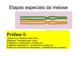 Etapas especiais da meiose
contenidos.educarex.es/.../div1_proftemp1.gif
Prófase I:
1)Lepto teno: Filamentos ainda finos
2)Zigoteno: Pareamento gene a gene.
3) Paquíteno ; Condensação e crossing over
4) Diploteno :Quiasmas( X – formado pelo crossing over)
5) Diacinese: movimento de afastamento , terminalização dos quiasmas.
 