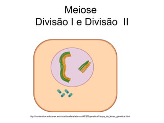 Meiose
Divisão I e Divisão II
http://contenidos.educarex.es/cnice/biosfera/alumno/4ESO/genetica1/sopa_de_letras_genetica.html
 