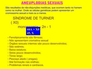 ANEUPLODIAS SEXUAIS
São resultados da não-disjunções meióticas, que ocorrem tanto no homem
como na mulher. Onde as células gaméticas podem apresentar um
cromossomo sexual a mais ou a menos.
SÍNDROME DE TURNER
( X0)
monossomia – 2n - 1
44A + X0
45, X
- Fenotipicamente são fêmeas;
- Não apresentam cromatina sexual
- Órgãos sexuais internos são pouco desenvolvidos;
- São estéreis;
- Baixa estatura;
- Seios pouco desenvolvidos;
- Tórax largo;
- Pescoço alado ( pregas);
- Mal formação nas orelhas;
- Problemas renais e cardíacos.
 