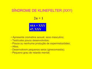 SÍNDROME DE KLINEFELTER (XXY)
44A + XXY
47, XXY
- Apresenta cromatina sexual, sexo masculino;
- Testículos pouco desenvolvidos;
- Pouca ou nenhuma produção de espermetozóides;
- Altos;
- Desenvolvem pequenos seios (ginecomastia);
- Pequeno grau de retardo mental;
2n + 1
 
