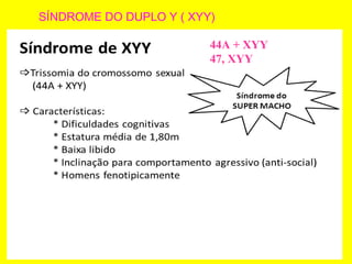 SÍNDROME DO DUPLO Y ( XYY)
44A + XYY
47, XYY
 