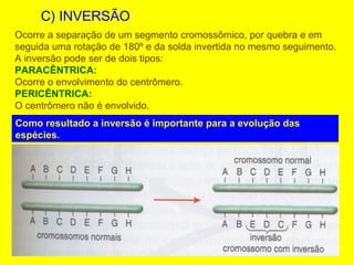 C) INVERSÃO
Ocorre a separação de um segmento cromossômico, por quebra e em
seguida uma rotação de 180º e da solda invertida no mesmo seguimento.
A inversão pode ser de dois tipos:
PARACÊNTRICA:
Ocorre o envolvimento do centrômero.
PERICÊNTRICA:
O centrômero não é envolvido.
Como resultado a inversão é importante para a evolução das
espécies.
 