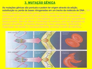 3. MUTAÇÃO GÊNICA
As mutações gênicas são pontuais e podem ter origem através da adição,
substituição ou perda de bases nitrogenadas em um trecho da molécula de DNA . Um
exemplo clássico de mutação gênica é o que ocorre na anemia falciforme, onde a
deformação da hemácia em forma de foice é oriunda da troca do aminoácido
glutâmico pela valina que forma a hemoglobina, o que ocasiona um agrupamento
dessa proteína. Além de alterar a morfologia da hemácia, uma vez agrupados os
glóbulos vermelhos, os mesmos bloqueando vasos sanguíneos, diminuindo a
oxigenação dos tecidos e, consequentemente, provocar a morte do indivíduo.
 