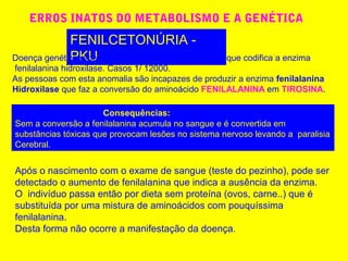 ERROS INATOS DO METABOLISMO E A GENÉTICA
FENILCETONÚRIA -
PKUDoença genética recessiva, causada por uma mutação que codifica a enzima
fenilalanina hidroxilase. Casos 1/ 12000.
As pessoas com esta anomalia são incapazes de produzir a enzima fenilalanina
Hidroxilase que faz a conversão do aminoácido FENILALANINA em TIROSINA.
Consequências:
Sem a conversão a fenilalanina acumula no sangue e é convertida em
substâncias tóxicas que provocam lesões no sistema nervoso levando a paralisia
Cerebral.
Após o nascimento com o exame de sangue (teste do pezinho), pode ser
detectado o aumento de fenilalanina que indica a ausência da enzima.
O indivíduo passa então por dieta sem proteína (ovos, carne..) que é
substituída por uma mistura de aminoácidos com pouquíssima
fenilalanina.
Desta forma não ocorre a manifestação da doença.
 