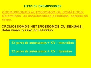 TIPOS DE CROMOSSOMOS
CROMOSSOMOS AUTOSSOMOS OU SOMÁTICOS:
Determinam as características somáticas, comuns ao
corpo.
CROMOSSOMOS HETEROSSOMOS OU SEXUAIS:
Determinam o sexo do indivíduo.
22 pares de autossomos + XY : masculino
22 pares de autossomos + XX : feminino
 