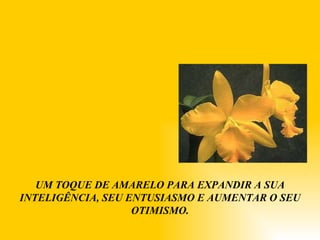 UM TOQUE DE AMARELO PARA EXPANDIR A SUA INTELIGÊNCIA, SEU ENTUSIASMO E AUMENTAR O SEU OTIMISMO. 