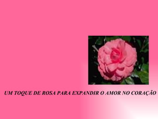UM TOQUE DE ROSA PARA EXPANDIR O AMOR NO CORAÇÃO 