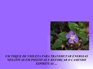 UM TOQUE DE VIOLETA PARA TRANSMUTAR ENERGIAS NEGATIVAS EM POSITIVAS E REFORÇAR O CAMINHO ESPIRITUAL ... 