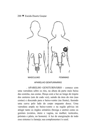 200 ▼ Eneida Duarte Gaspar




          MASCULINO                      FEMININO

                APARELHO GENITURINÁRIO

         . APARELHO GENITURINÁRIO - comece com
uma varredura sobre os rins, na altura da parte mais baixa
das costelas, nas costas. Desça com a luz ao longo do trajeto
dos ureteres (um de cada vez), saindo da área do rim (nas
costas) e descendo para o baixo-ventre (na frente), fazendo
uma curva pelo lado do corpo enquanto desce. Uma
varredura ampla no baixo-ventre e na região pélvica irá
atingir tanto os órgãos urinários (bexiga e uretra) como os
genitais (ovários, útero e vagina, na mulher; testículos,
próstata e pênis, no homem). A luz de energização de todo
esse sistema é a laranja; sua complementar é o azul.
 