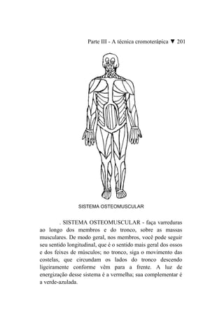 Parte III - A técnica cromoterápica ▼ 201




                SISTEMA OSTEOMUSCULAR


         . SISTEMA OSTEOMUSCULAR - faça varreduras
ao longo dos membros e do tronco, sobre as massas
musculares. De modo geral, nos membros, você pode seguir
seu sentido longitudinal, que é o sentido mais geral dos ossos
e dos feixes de músculos; no tronco, siga o movimento das
costelas, que circundam os lados do tronco descendo
ligeiramente conforme vêm para a frente. A luz de
energização desse sistema é a vermelha; sua complementar é
a verde-azulada.
 