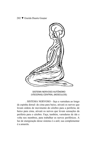 202 ▼ Eneida Duarte Gaspar




               SISTEMA NERVOSO AUTÔNOMO
             (VÍSCERAS) CENTRAL (MÚSCULOS)


         . SISTEMA NERVOSO - faça a varredura ao longo
da espinha dorsal: de cima para baixo, ativará os nervos que
levam ordens de movimento do cérebro para a periferia; de
baixo para cima, ativará os nervos que levam sensações da
periferia para o cérebro. Faça, também, varreduras de ida e
volta nos membros, para trabalhar os nervos periféricos. A
luz de energização desse sistema é a anil; sua complementar
é a amarela.
 