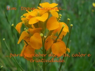 Um toque laranja...
...para perceber alegría, calor e
criatividade.
 