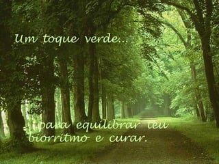 Um toque verde...
...para equilibrar teu
biorritmo e curar.
 