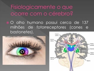  O olho humano possui cerca de 137
milhões de fotorreceptores (cones e
bastonetes).
 