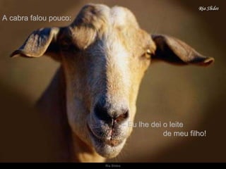 A cabra falou pouco: –   Eu lhe dei o leite  de meu filho! 