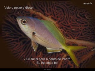 Veio o peixe e disse: –   Eu saltei para o barco de Pedro. Eu lhe dei a fé!  