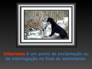 Interesse  é um ponto de   exclamação ou de interrogação   no final do sentimento. 