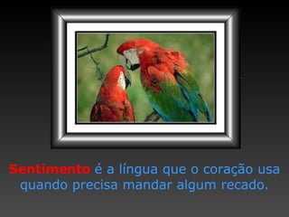 Sentimento  é a língua que o   coração usa quando precisa   mandar algum recado. 