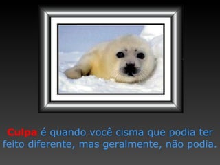 Culpa   é quando você  c isma   que podia ter f eito   diferente,  m as   geralmente,   não podia. 