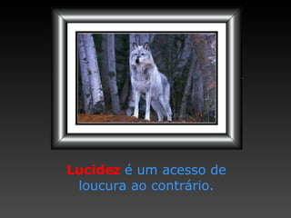 Lucidez   é um acesso de loucura ao contrário. 