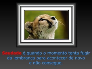 Saudade   é quando o momento   tenta fugir   da lembrança   para acontecer de novo e não consegue. 