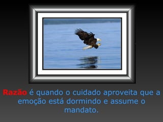 Razão   é quando o cuidado   aproveita que a emoção   está dormindo e assume   o mandato. 