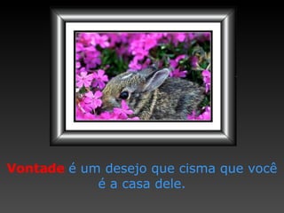 Vontade   é um desejo que   cisma que   você é   a casa   dele. 