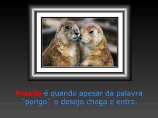 Paixão   é quando apesar   da palavra  ¨ perigo ¨  o desejo chega e entra. 