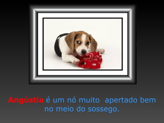 Angústia   é um nó muito  apertado bem no meio do sossego. 