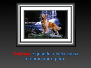 Certeza   é quando a idéia cansa de procurar e pára. 