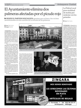 La Crónica    8
 Del sábado 12 al viernes 18 de enero de 2013                                                                                 Antequera Ciudad
                                                                                                                                          La Policía Local
El Ayuntamiento elimina dos                                                                                                               puso multitud
                                                                                                                                          de multas por
palmeras afectadas por el picudo rojo                                                                                                     molestar con los
                                                                                                                                          petardos
  DESDE EL PARTIDO SOCIALISTA apuntan que se tiene a los vecinos
desinformados en esta cuestión de la retirada de las palmeras                                                                               Texto: Mar García



  Texto: Mar García                                                                                                                       ANTEQUERA. La llegada de un
  Imagen: Sancho                                                                                                                          establecimiento de venta de
                                                                                                                                          petardos a Antequera ha provo-
                                                                                                                                          cado durante toda la fiesta navi-
                                                                                                                                          deña un malestar general entre
ANTEQUERA. Ante las críticas                                                                                                              los vecinos que han visto como
recibidas por los vecinos de la                                                                                                           su tranquilo vecindario ha sido
Plaza Fernández Viagas y el par-                                                                                                          un foco de ruido alterando la paz
tido socialista de Antequera en                                                                                                           a la que estaban acostumbrados
la que muestran su pesar por la                                                                                                           e incluso de actos vandálicos
eliminación de dos palmeras de                                                                                                            donde los jóvenes han reventado
esta plaza, el Ayuntamiento de                                                                                                            buzones con dichos explosivos o
Antequera ha salido en su                                                                                                                 han incendiando árboles. La Poli-
defensa argumentando que se                                                                                                               cía Local ha recibido cientos de
han quitado porque estaban                                                                                                                llamadas durante estos días
afectadas por el escarabajo                                                                                                               pidiendo al cuerpo de seguridad
picudo.                                                                                                                                   que tomara medidas ante tanto
    "Las hemos quitado por                                                                                                                ruido y descontrol ya que
seguridad, no por gusto", señaló                                                                                                          muchos días, los petardos han
el portavoz del equipo de                                                                                                                 sido tirados a altas horas de la
gobierno del Ayuntamiento,                                                                                                                madrugada.
Ángel González, quien culpó                                                                                                                   Según el concejal de Seguri-
como responsable de esta deci-         Imagen de la Plaza Fernández Viagas.                                                               dad y Tráfico, Ángel González,
sión al anterior equipo de                                                                                                                algunos agentes de la Policía
gobierno socialista por no actuar                                                                                                         Local, vestidos de paisano conse-
con tiempo ante la llegada del                                                                                                            guían paralizar estos molestos
escarabajo Picudo Rojo. "En           lista informaba que diversos                                                                        ruidos interponiendo una multa
lugar de llevar a cabo tratamien-     vecinos de la plaza Fernández                                                                       y requisando los petardos en el
tos adecuados para las palme-         Viagas se habían dirigido a su                                                                      momento al poner en peligro la
ras que evitan que el Picudo          grupo municipal para trasla-                                                                        seguridad pública.
Rojo acabe con ellas, se gastaban     darle su malestar por la retirada                                                                       El edil afirmó que se han
el dinero en vino y comilonas",       de las palmeras. Defienden que                                                                      puesto "muchas multas" sobre
arremetió nuevamente Gonzá-           “ante lo ya inevitable los veci-                                                                    todo en los días 24 y 31 de diciem-
lez con el PSOE pidiéndoles           nos de la plaza Fernández Via-                                                                      bre, pero que "el problema está
"que dejen de tomar el pelo a los     gas al menos esperaban que se                                                                       en el civismo y la educación de
antequeranos".                        les informara conveniente-                                                                          cada persona, de molestar a la
    González mostró fotografías       mente, lo que no está ocu-                                                                          persona ajena en horas de des-
del tronco de las palmeras que        rriendo. La reunión con el con-                                                                     canso y de un continuo flujo de
han sido dañadas con este esca-       cejal de Obras fue a requeri-                                                                       ruido”. No obstante, pidió discul-
rabajo y aseguró que se han eli-      miento de los vecinos, una vez                                                                      pas a las personas que se hayan
minado dos, aunque hay una            comprobado que no se contaba                                                                        sentido molestas y aseguró que
tercera en la que los técnicos        con ellos”. Finalmente ya cono-                                                                     tomarán medidas para futuras
están evaluando si puede sal-         cieron que la supresión de las                                                                      fiestas, aunque el establecimiento
varse o no.                           palmeras había sido provocada       Ángel González mostró imágenes del picudo rojo, el escarabajo   era legal y en España no está pro-
    Por su parte, el partido socia-   por el picudo rojo.                 que causa la muerte a las palmeras.                             hibido tirar petardos.
 