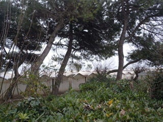 Reconstrucción de la Roma
imperial
 